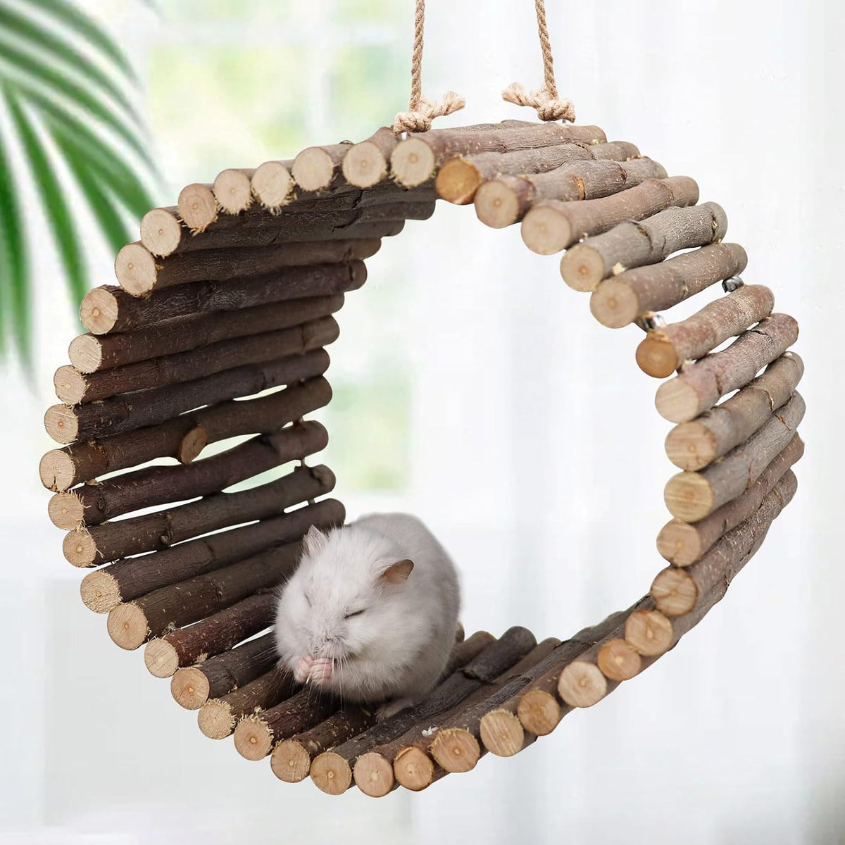 Bird Parrot Swing Toys, Hanging Bird Tree Caves, Natural Apple Wood Parrot Hammock, Bird Cage