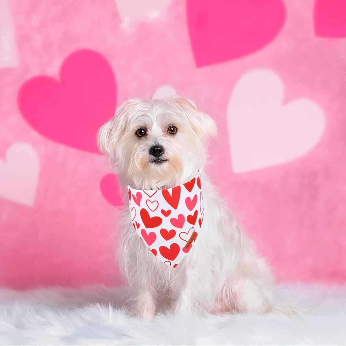 ADOGGYGO Valentine Dog Bandanas, Red Pink Heart Pet Scarf, Multi Size Offered, White Red Valentine