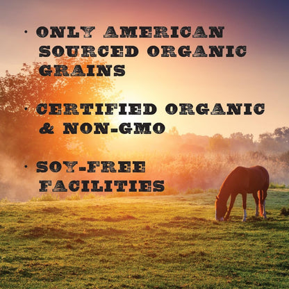 New Country Organics | Elite Horse Feed for Horses Under The Stresses of Competition and Travel |