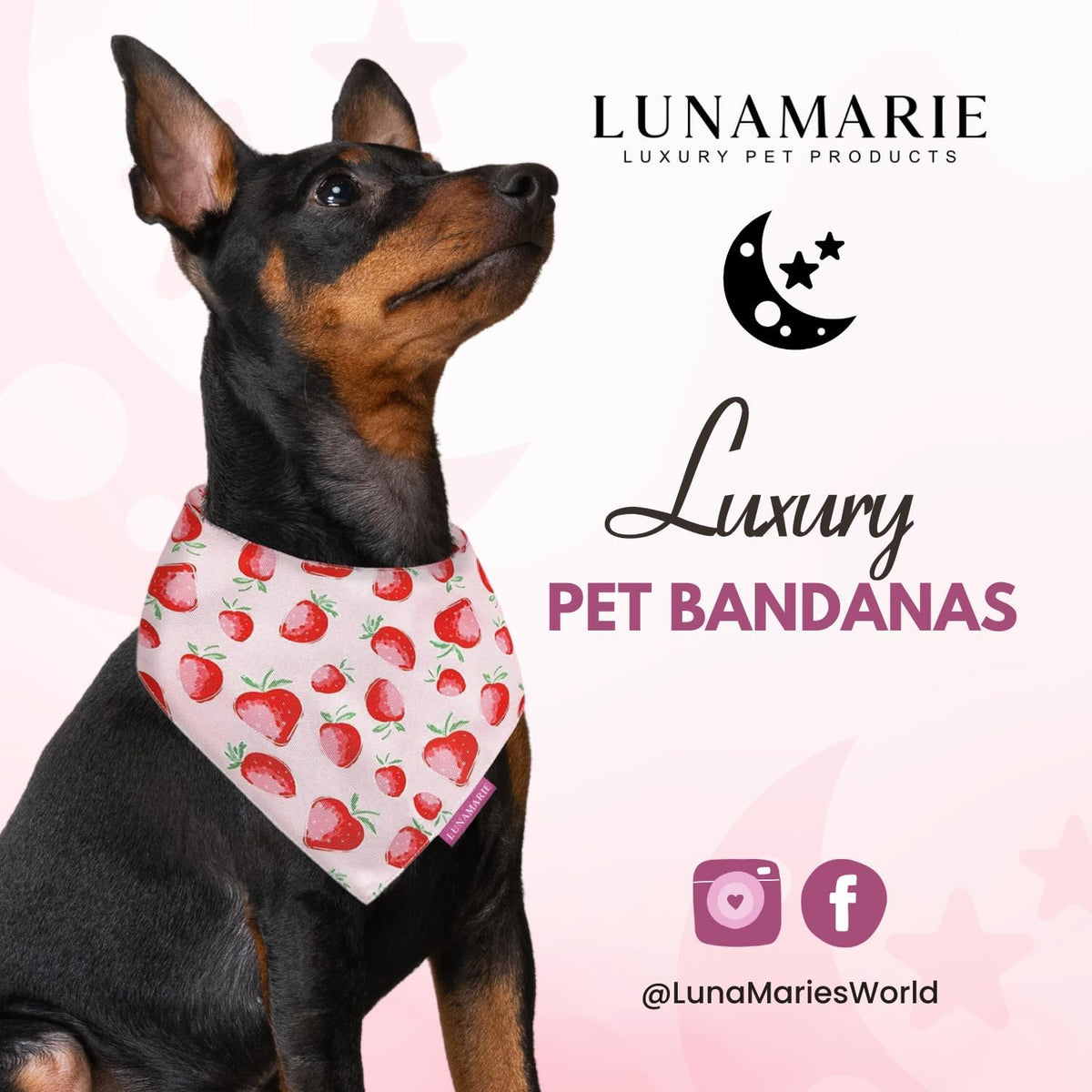 LunaMarie - Luxury Pet Birthday Bandanas -Premium & Silky Poly Fabric | 100% Handmade | Custom