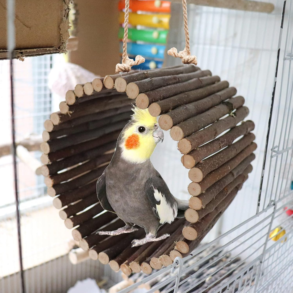 Bird Parrot Swing Toys, Hanging Bird Tree Caves, Natural Apple Wood Parrot Hammock, Bird Cage