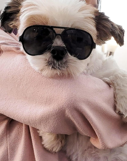 G029 Dog Cat Pet Aviator Pilot Sunglasses Glasses for Small Breeds up to 15lbs (2-Pack Black +