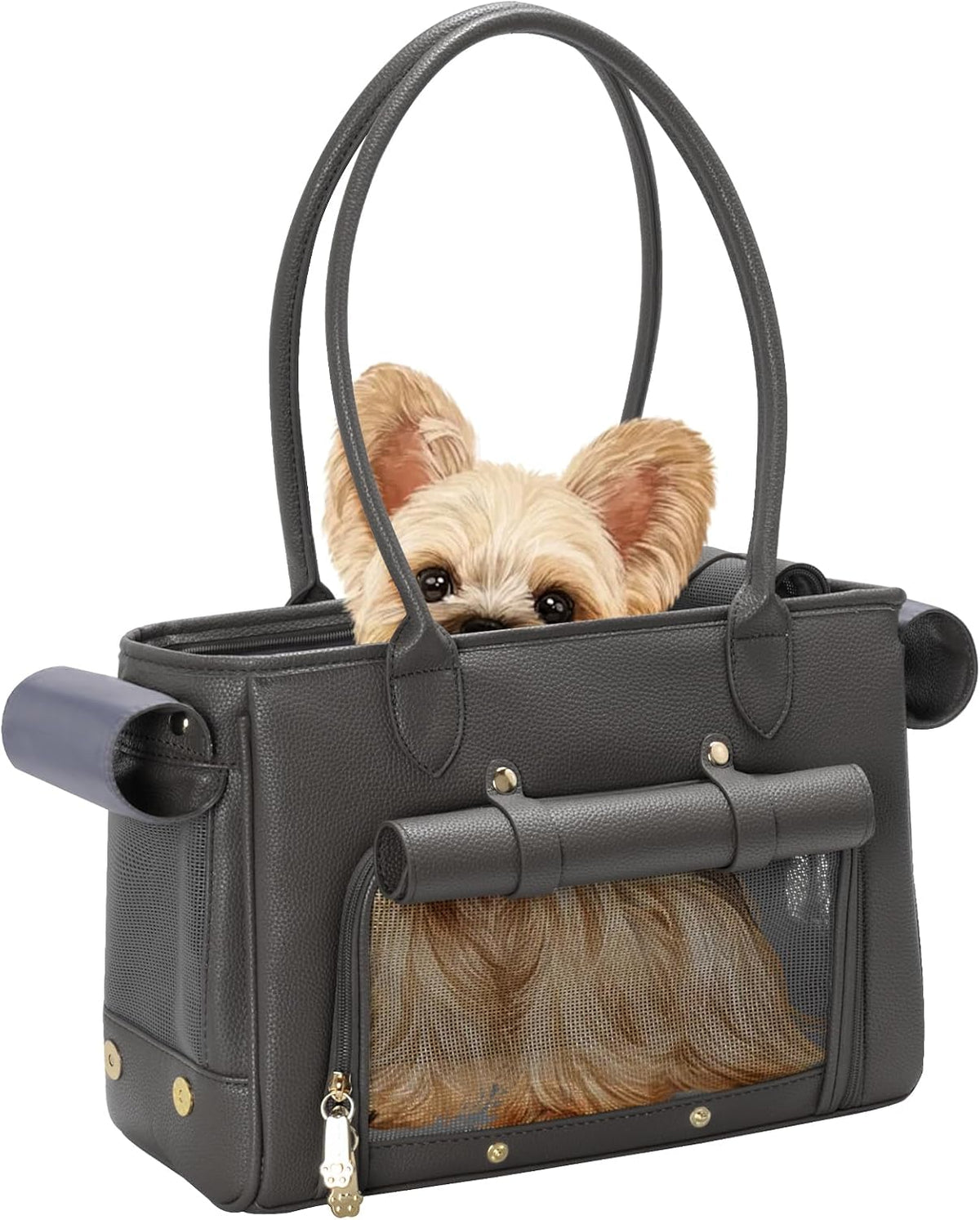 Minsong Fashion Pet Carrier Purse for Small Cat and Dog, Luxury Pu Soft-Sided Tote Bag with Large