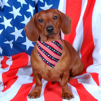 PTDECOR American US Flag Dog Bandana 4th of July Dog Bandanas Reversible Triangle Bibs Scarf for