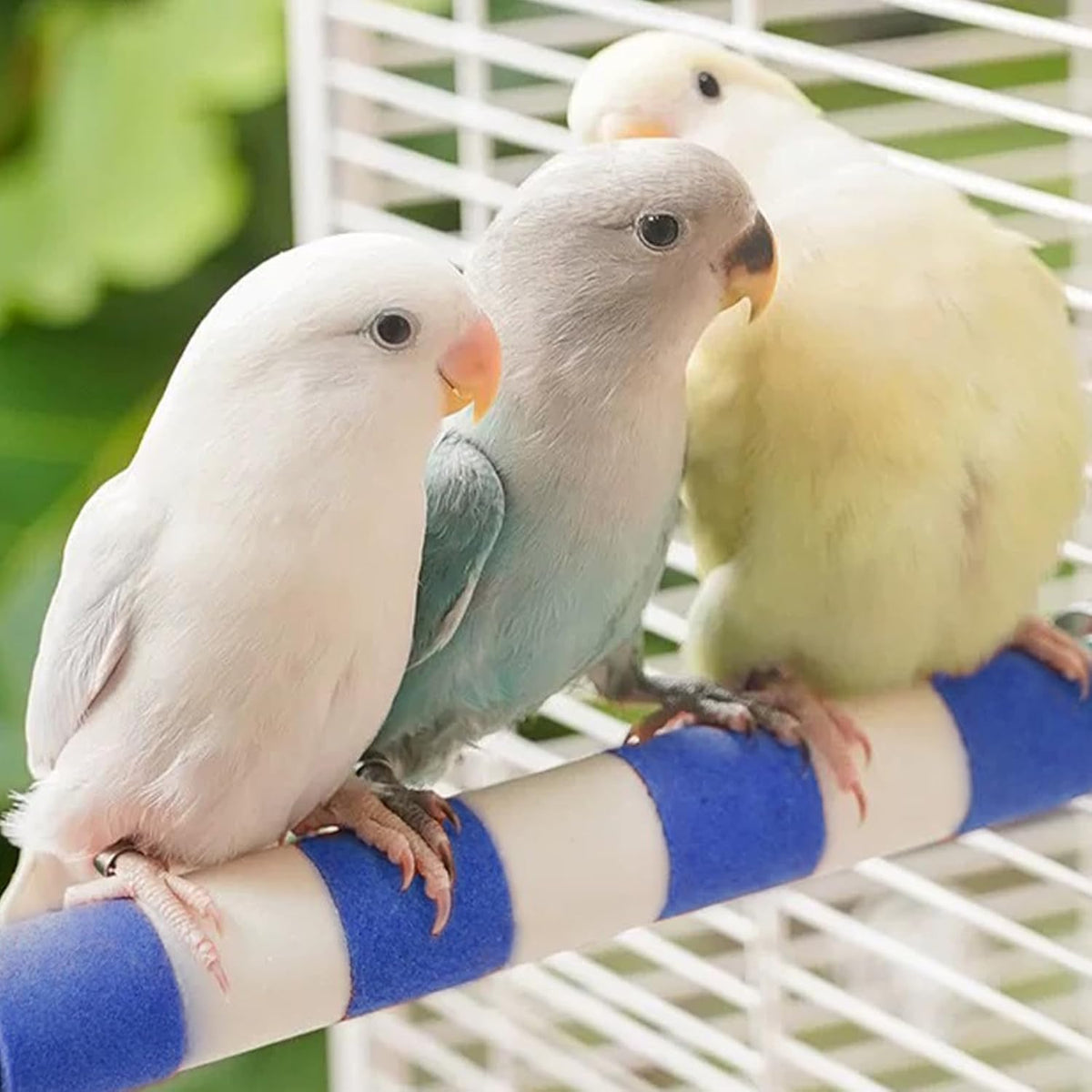 Bird Perches for Cage Bird Cage Accessories Toys Parrot Sand Paw Grinding Stick for Budgies