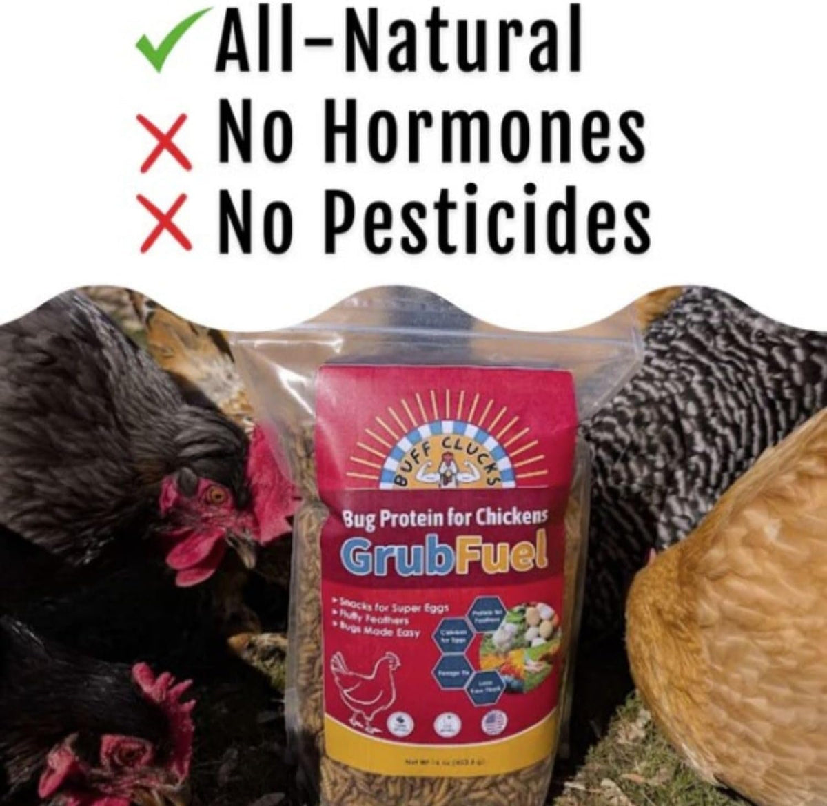 Grub Fuel Black Soldier Fly Larvae for Chickens - Nutrient Packed BSFL, Sustainably Sourced Snack