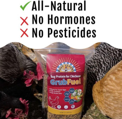 Grub Fuel Black Soldier Fly Larvae for Chickens - Nutrient Packed BSFL, Sustainably Sourced Snack