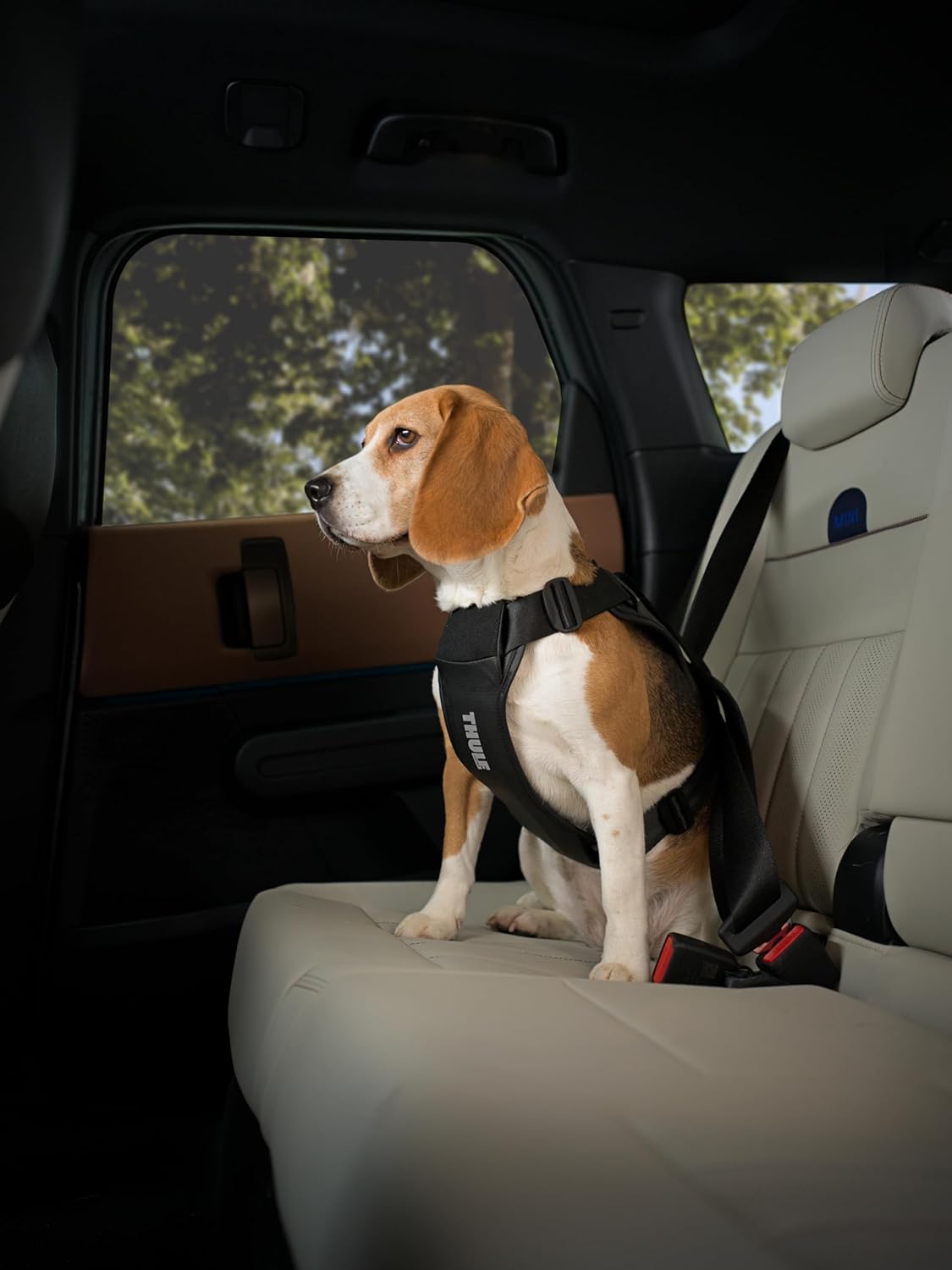 Thule Cappy Dog Harness M - Crash-Tested for Safety - Seatbelt passthrough - Adjustable & Easy to