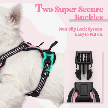rabbitgoo Dog Harness No Pull with 2 Leash Clips, Adjustable Soft Padded, Reflective Oxford No