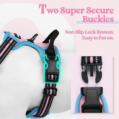 rabbitgoo Dog Harness No Pull with 2 Leash Clips, Adjustable Soft Padded, Reflective Oxford No
