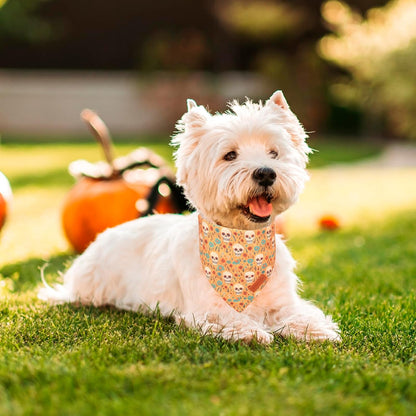 PTDECOR Halloween Dog Bandana, Skeleton Pumpkin Reversible Holiday Dog Scarf, Triangle Halloween