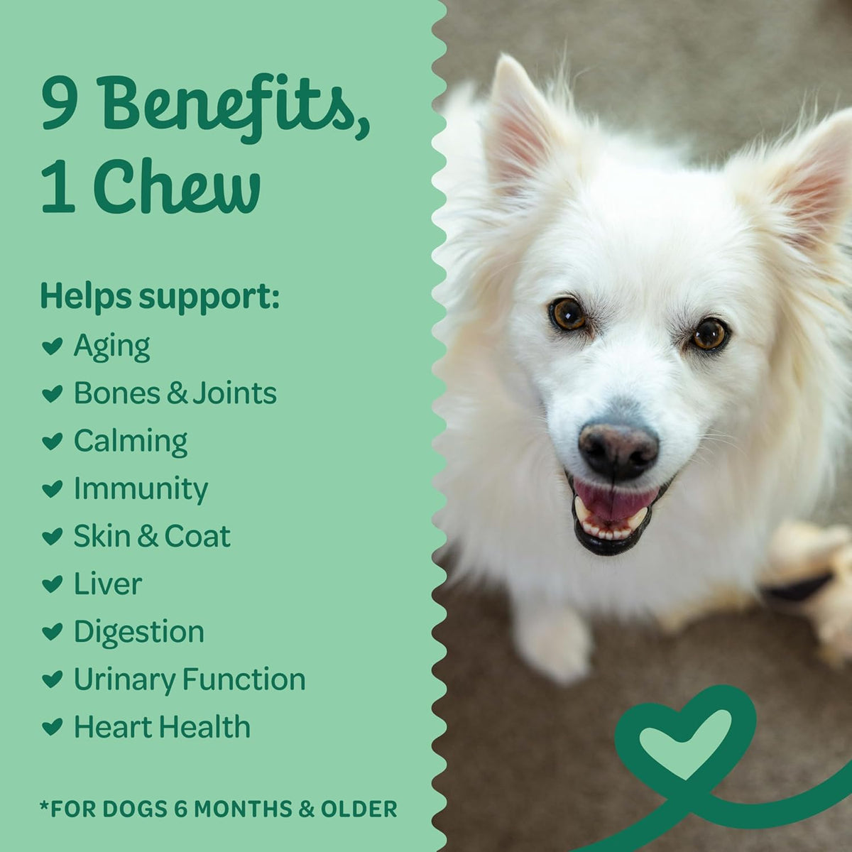 Wholesome Pride 9-in-1 Dog Multifunctional Soft Chews – Joint Pain Relief, Hip & Joint Support