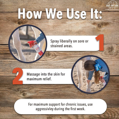 Natural Release Muscle Spray Treatment - Horse Liniment for Sore Muscles, Joint Pain, Tendon &