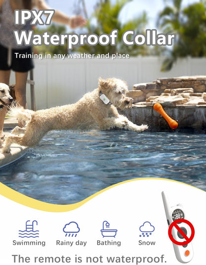 MIMOFPET Wireless Dog Fence for 2 Dogs - Multi-Mode Electric Fence Covers up to 856-Acre,6100 Ft