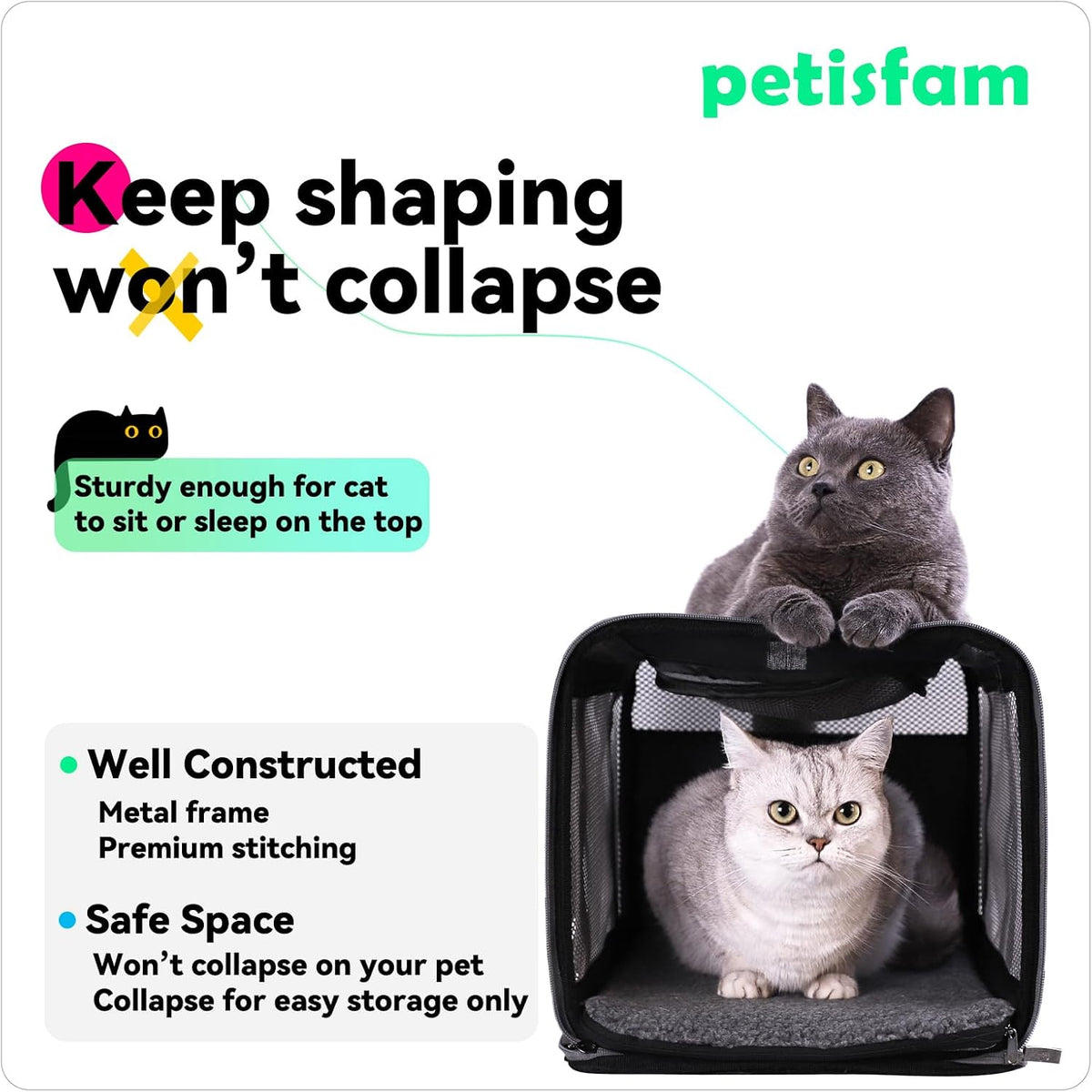 petisfam Soft Pet Carrier Bag for Cats and Puppy Under 20 lbs. Sturdy, Safe, Comfortable and