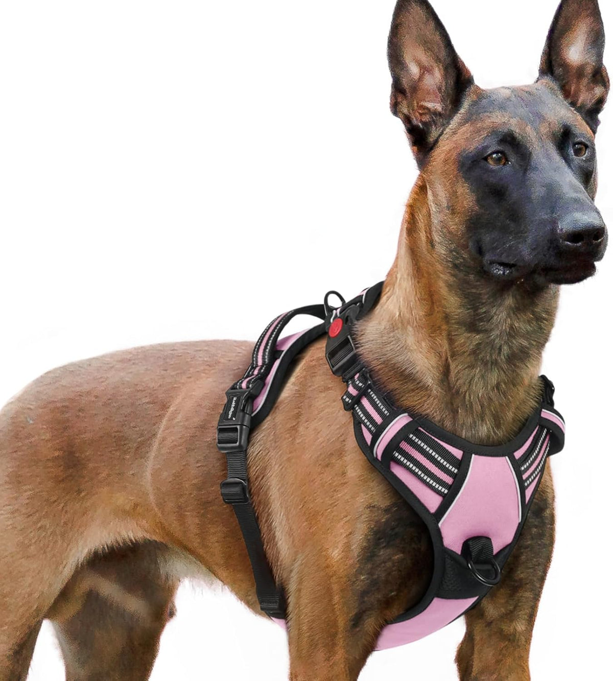 rabbitgoo Dog Harness for Large, No Pull Pet Harness with 3 Buckles, Adjustable Soft Padded Vest