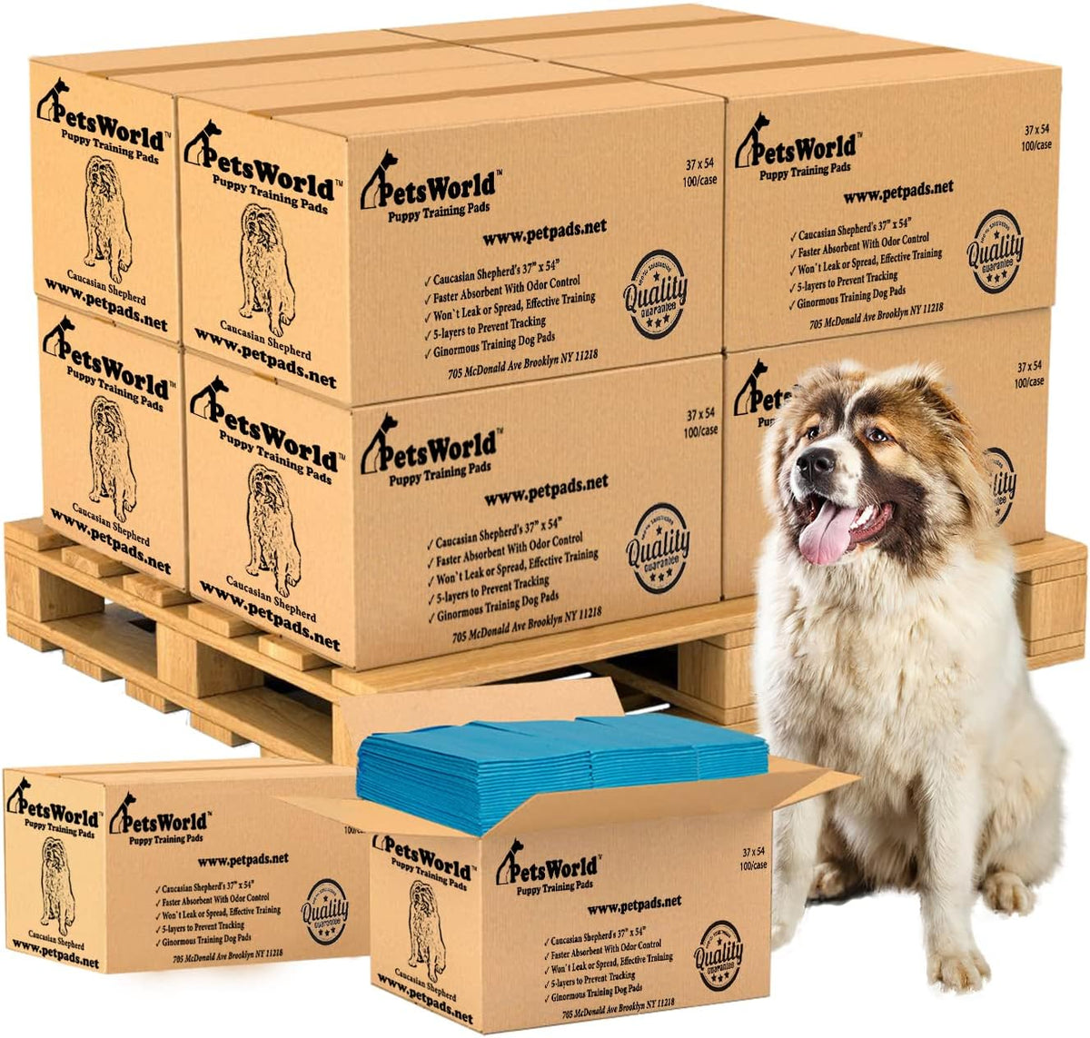 PETSWORLD Enormous Dog Training & Potty Pads, 37x54 inch - Tear Resistant with Strong Leak-Proof