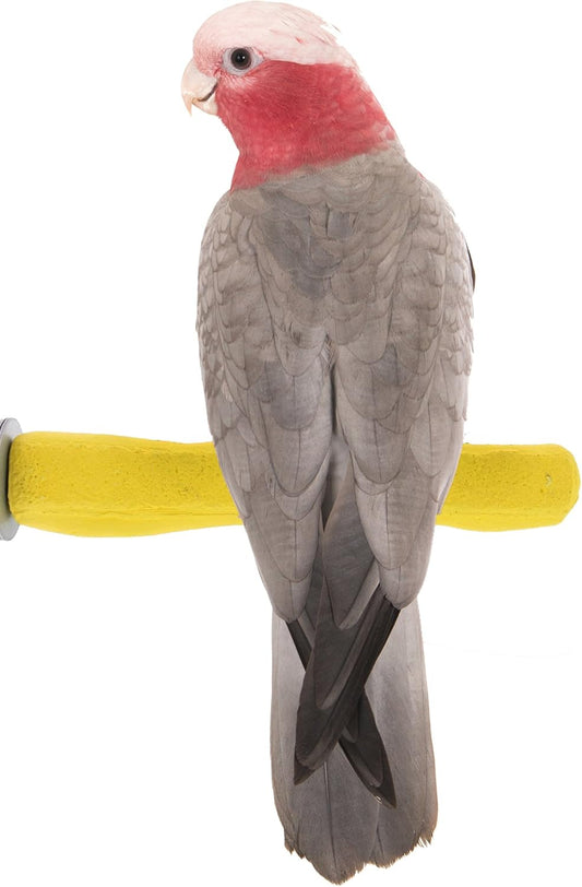 Comfort Grip Safety Perch for Bird Cages - Pedicure Perch for Birds to Keep Nails and Beaks in Top