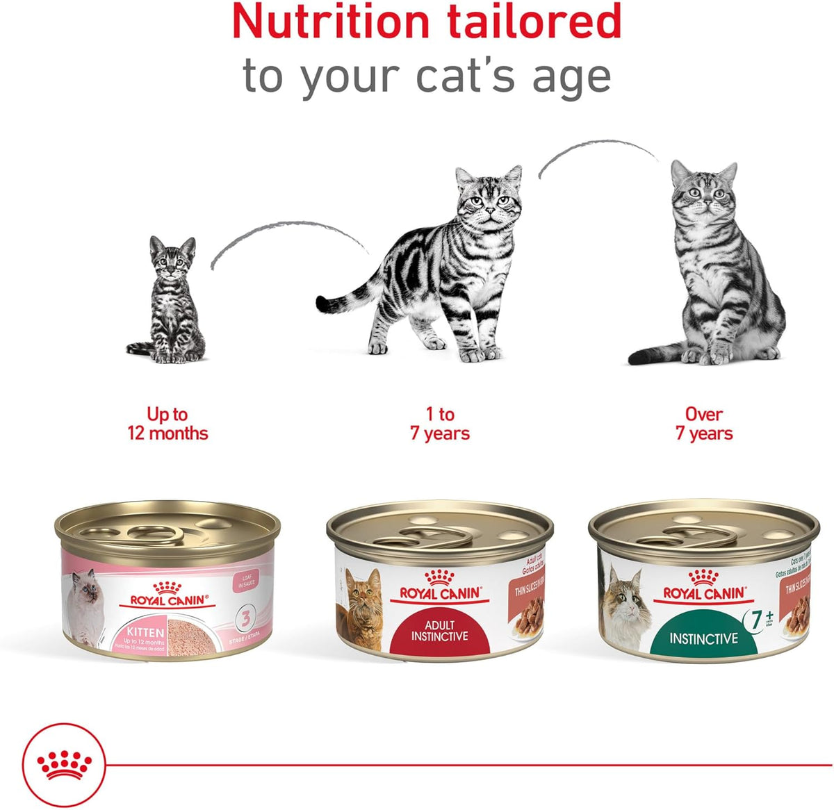 Royal Canin Adult Feline Health Nutrition Instinctive Thin Slices in Gravy Canned Wet Cat Food, 3