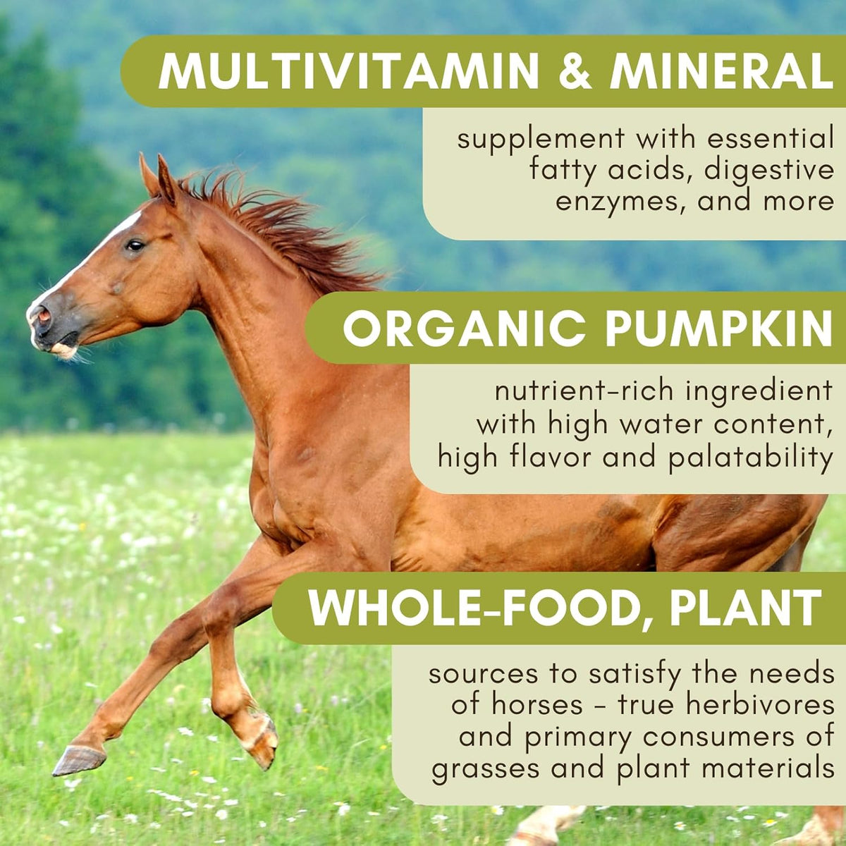 Wholistic Pet Organics Equine Complete: Horse Multivitamin for Total Body Health - Horse Supplement