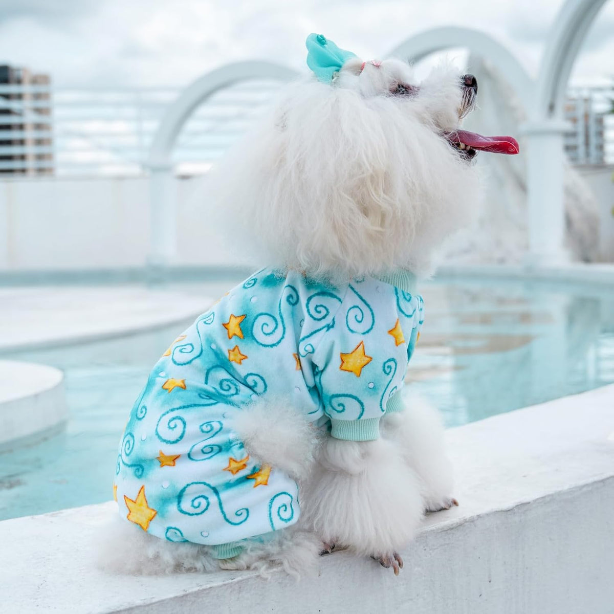 CuteBone Small Dogs Outfit Soft Puppy Onesies Pjs Dog Pajamas Pet Coat Cat Apparel Comfy Doggie
