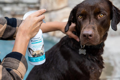 Vetericyn FoamCare Dog Shampoo and Conditioner - Instant Foaming, Spray-On Hypoallergenic Shampoo