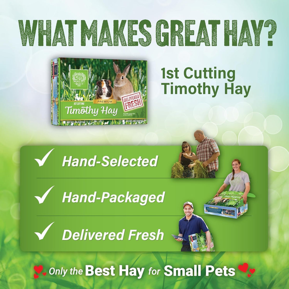 Small Pet Select 1st Cutting Timothy Hay, Animal Food for Guinea Pig, Rabbit, Hamster, Bunny, or