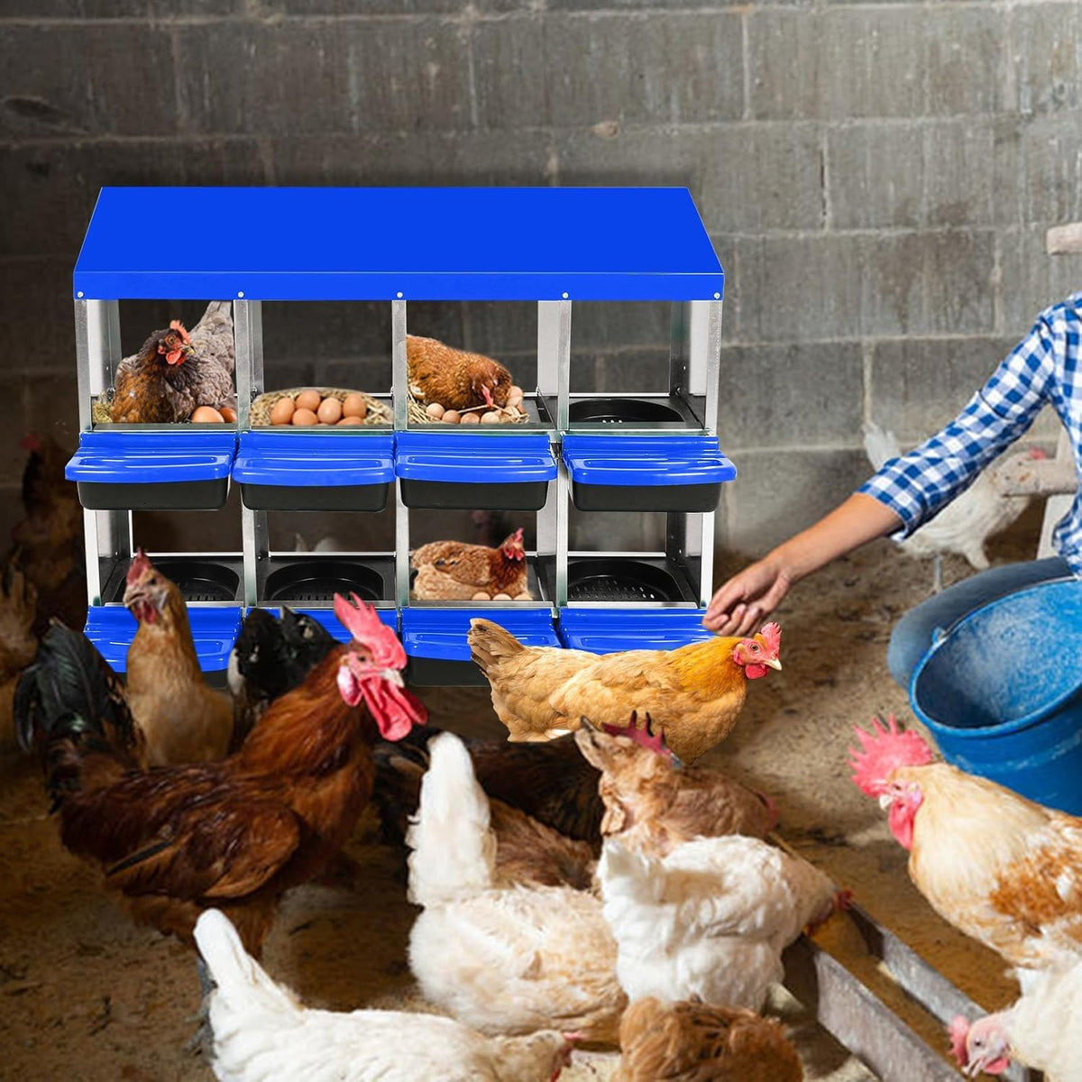 Chicken Nesting Boxes, 8 Hole Metal Chicken Laying Box with with Removable Trays and Roll Out Egg
