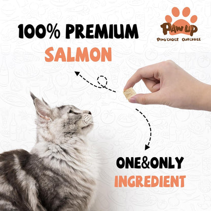 Freeze Dried Salmon Cat Treats, Single Ingredient Raw Cat Food Toppers, Healthy Training Treats for