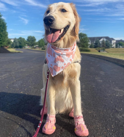 QUMY Dog Shoes for Large Dogs, Medium Dog Boots & Paw Protectors for Winter Snowy Day, Summer Hot