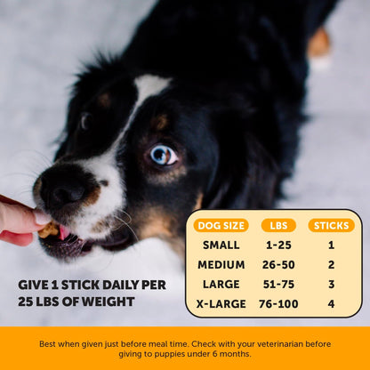 Pet Honesty Allergy Support Fresh Dental Sticks - Dental Treats for Dogs - Dental Dog Chews