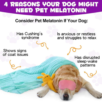 Dog Melatonin - Melatonin for Dogs - Dog Melatonin for Small Dogs - Cat Melatonin - Anxiety &