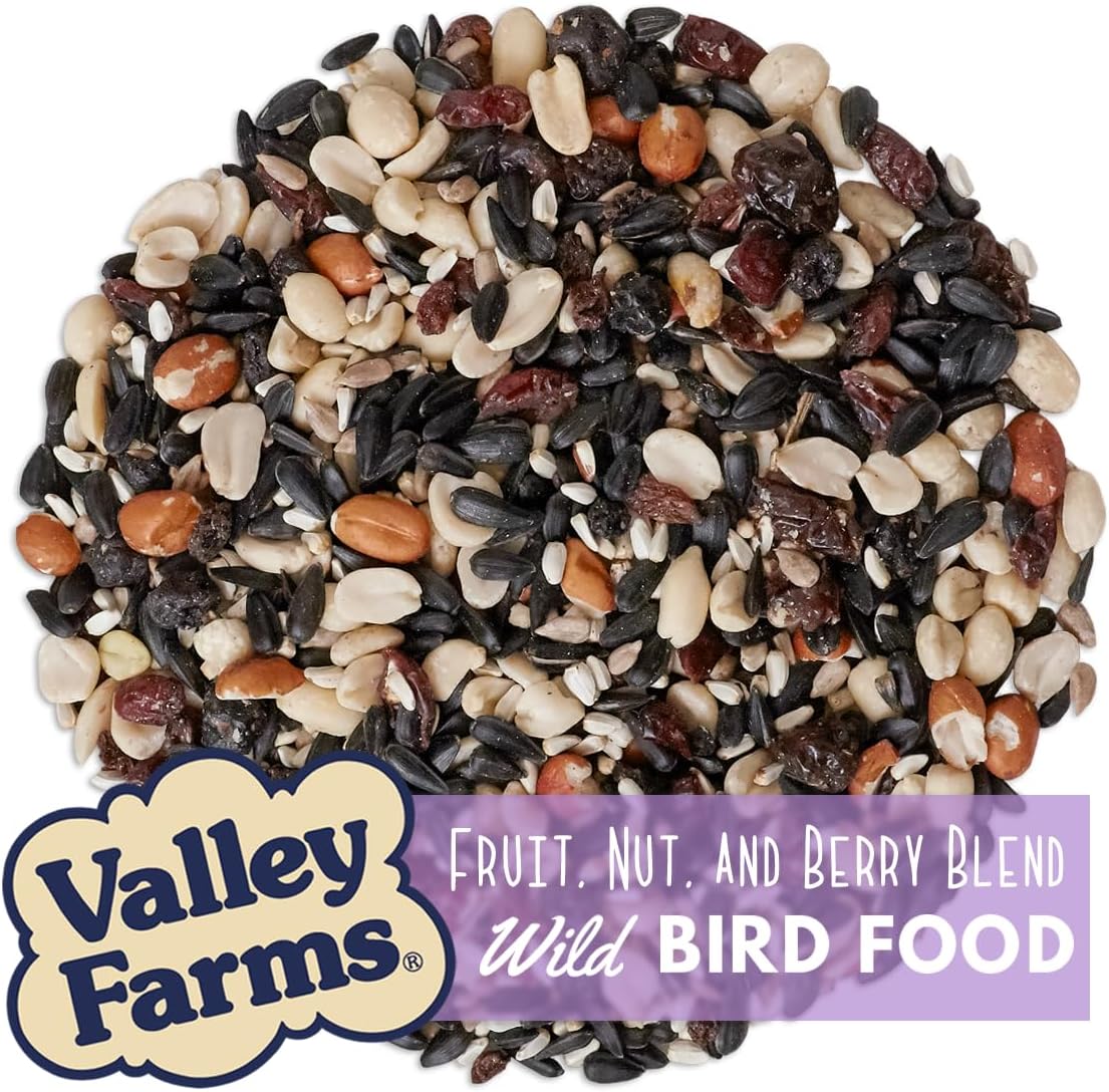 Valley Farms Fruit Nut & Berry Wild Bird Food for Outside Feeders, Bird Seed with Dried Fruit