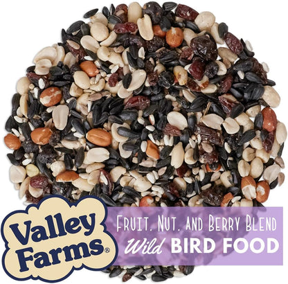 Valley Farms Fruit Nut & Berry Wild Bird Food for Outside Feeders, Bird Seed with Dried Fruit