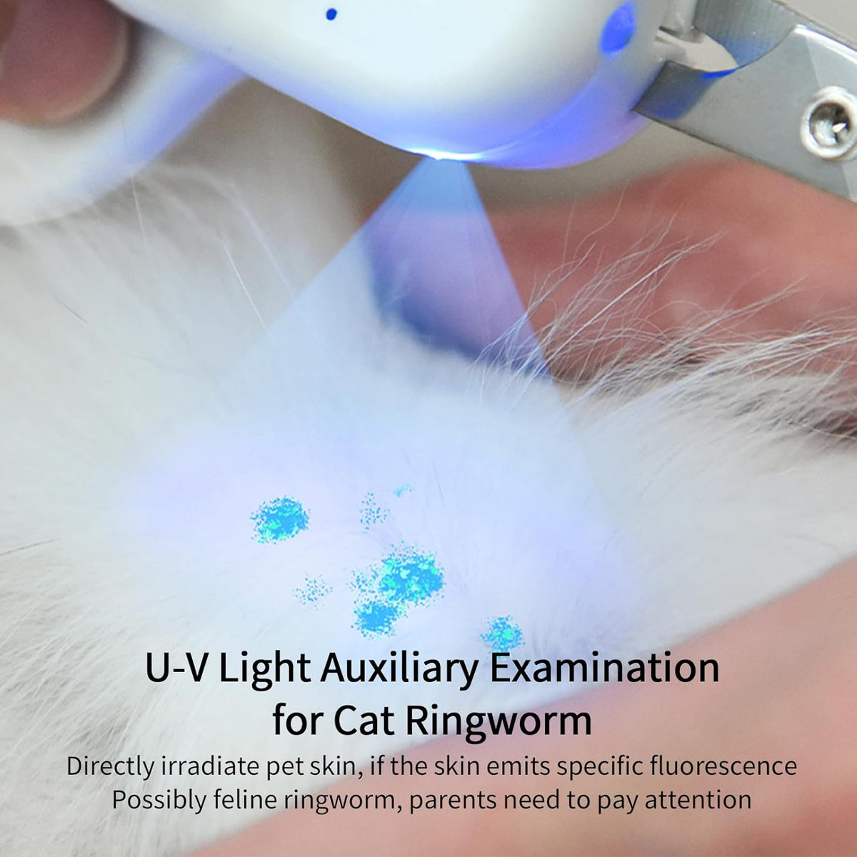 PAKEWAY Pet Nail Clipper with LED & -U-V Light, Cat Claw Trimmer with Ultra Bright LED Light for