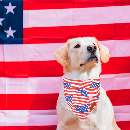 PTDECOR American Flag Dog Bandana 4th of July Dog Scarf Reversible Red Blue Patriotic Bandanas for