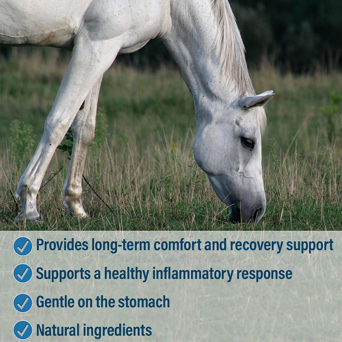Absorbine Bute-Less Comfort & Recovery Support Supplement, Provides Long-Term Comfort, Gentle on