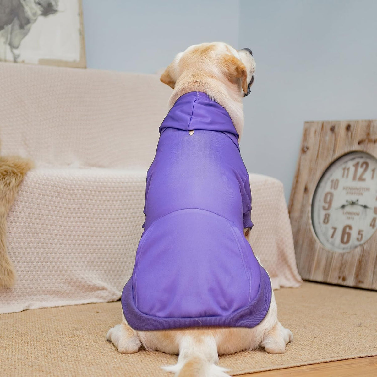 KOOLTAIL Basic Dog Hoodie - Soft & Warm Dog Hoodie Sweater with Leash Hole and Pocket, Dog Winter
