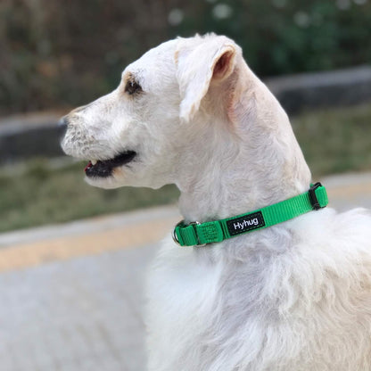 Hyhug Solid Color Nylon Martingale Collar, Heavy Duty Escape-Proof Pup Dog Collar. (Small, Lime