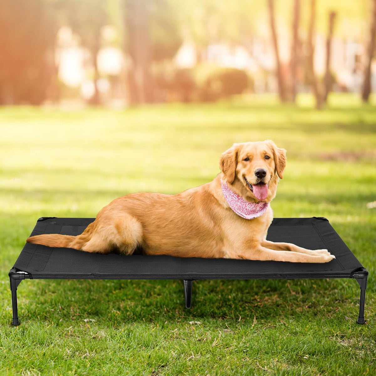 Elevated Dog Bed for Outdoor, XXL Raised Dog Cot Indestructible with Washable Mesh, Cooling Summer