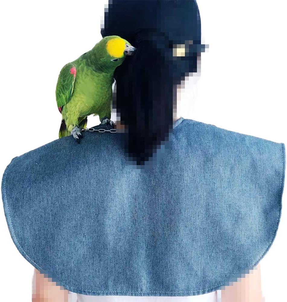 QBLEEV Parrot Anti-Scratch Shoulder Protector Hang Bird Anklet&Toys, Multi-Functional Pet Shoulder
