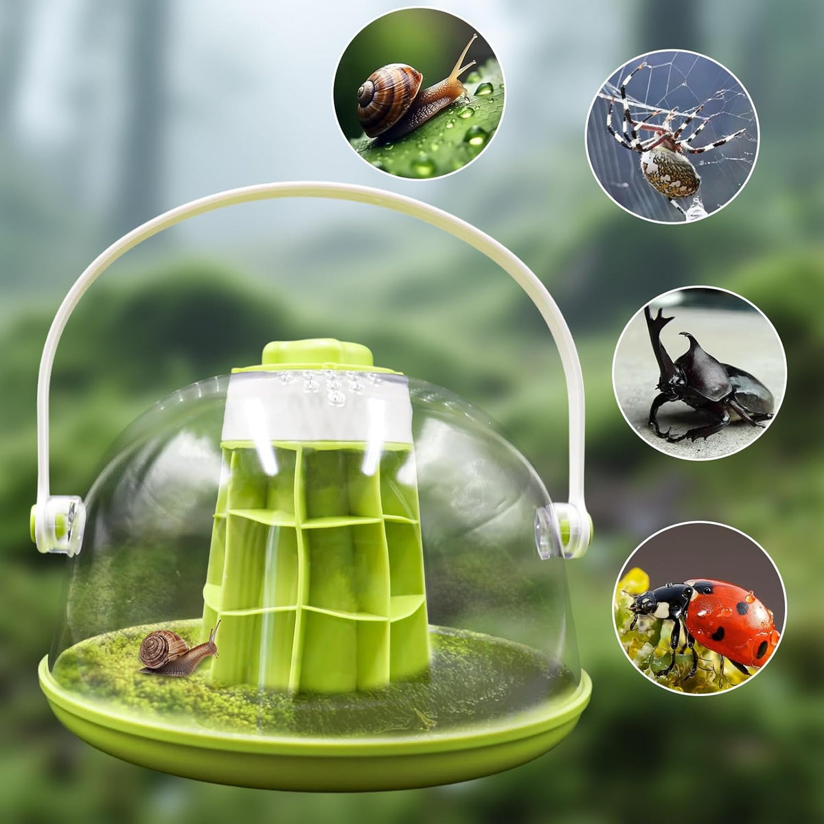 Round Transparent Snail Terrarium Kit, Portable Plastic Habitat with Air Vents & Removable Base