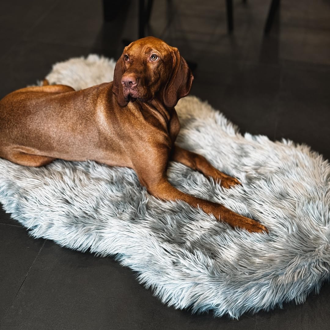 IHAPPYDOG Luxury Faux Fur Orthopedic Dog Bed, Memory Foam Dog Bed for Small, Medium, Large and XL