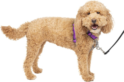 PetSafe 3 in 1 Dog Harness - No Pull Solution for Dogs - Reflective Dog Harness - Front D-Ring Clip