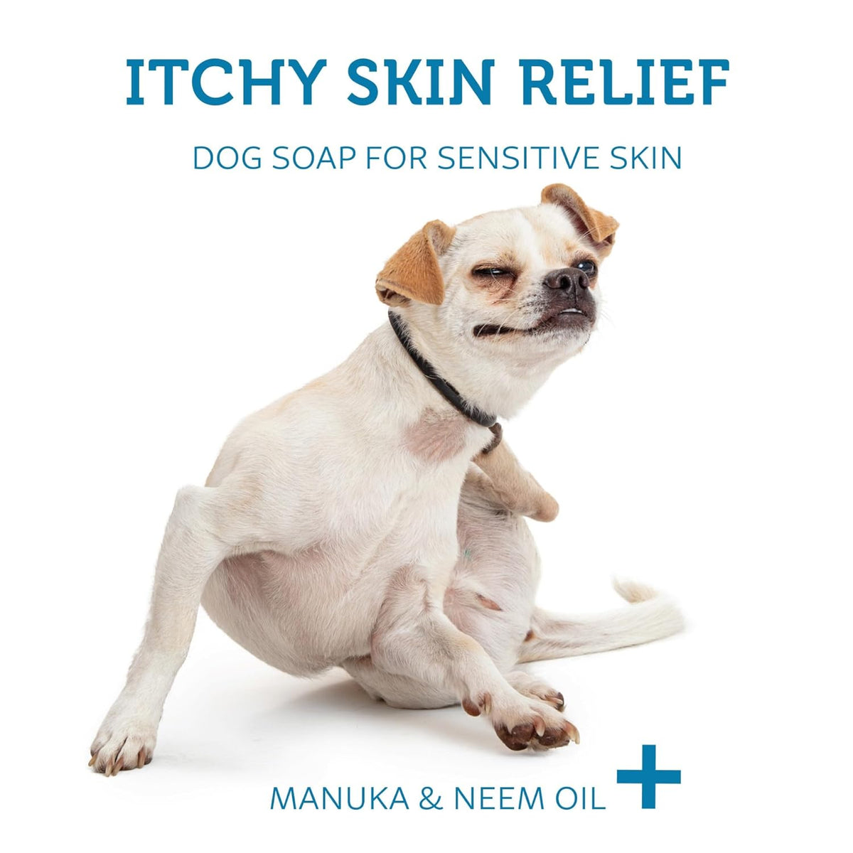 Dog Shampoo Bar Soap for Itchy Skin Relief - 2.8 oz - Concentrated Dog Soap for Sensitive Skin with