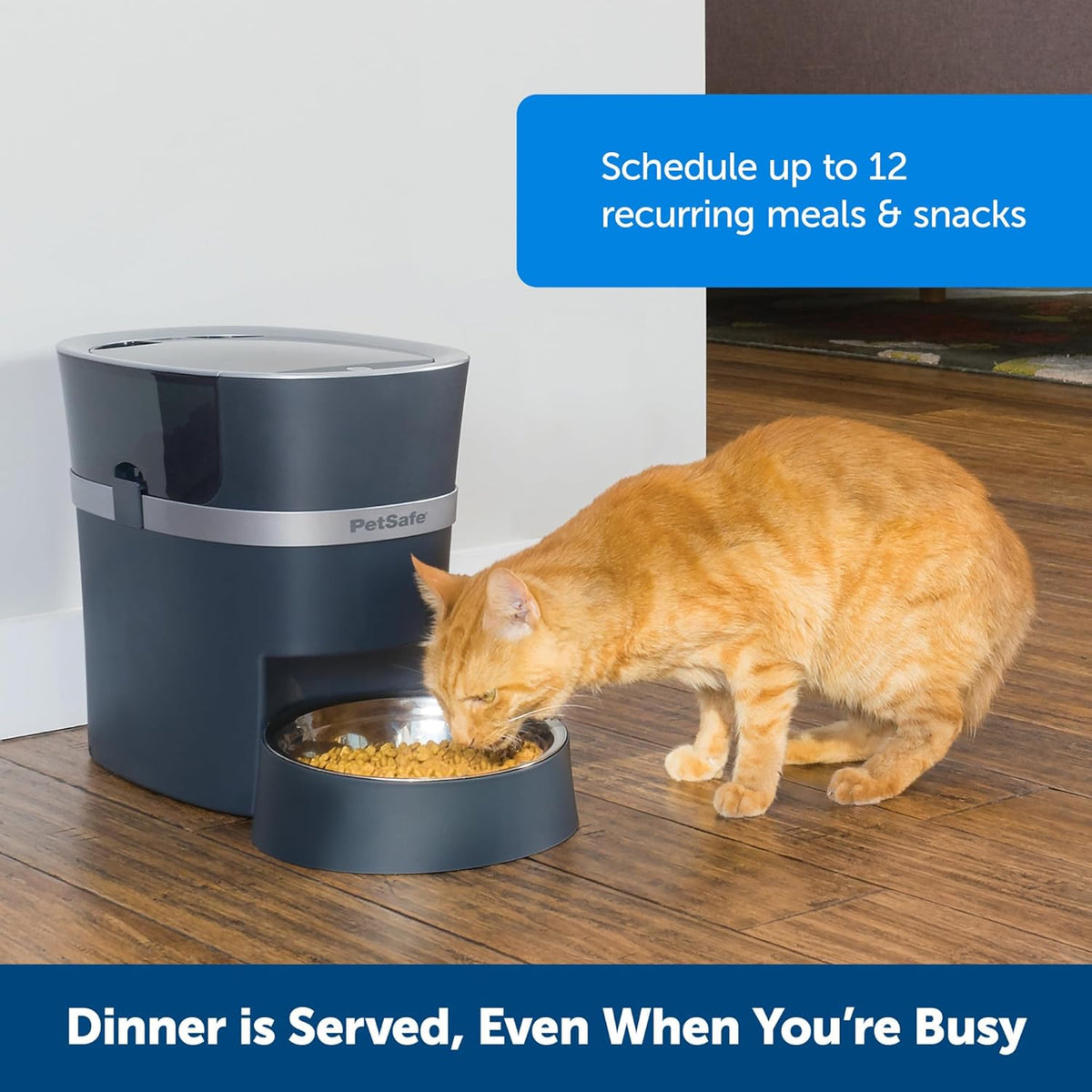 PetSafe Smart Feed - Electronic Pet Feeder for Cats & Dogs - 6L/24 Cup Capacity - Programmable