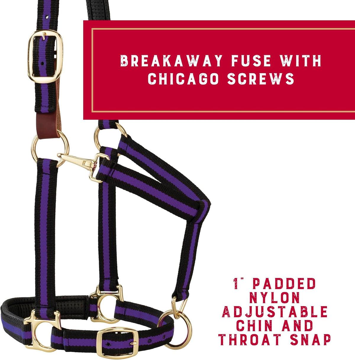 Weaver Equine Breakaway Horse Halter, Comfort Foam Padding, Adjustable Chin & Throat Snap Halters