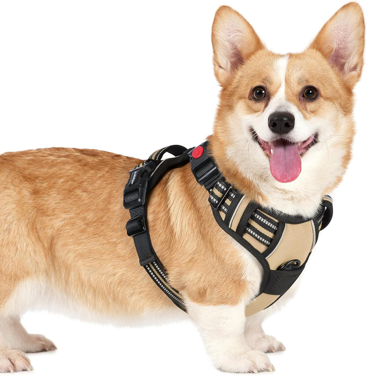 rabbitgoo Dog Harness Small Sized, No Pull Pet Harness with 3 Buckles, Adjustable Soft Padded Vest