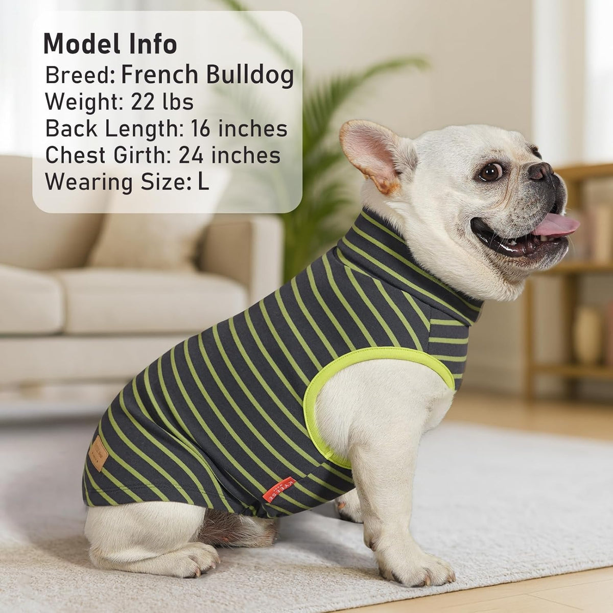 KYEESE 2Pack Dog Sweater Stretchy Dogs Clothes Soft Dachshund Clothes Warm Pet Coats Dog Sweaters