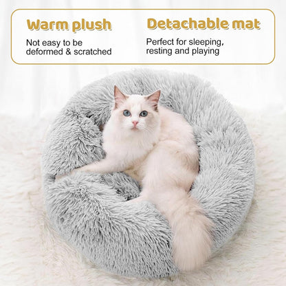 Odoland Cat Tunnel Bed with 20 Cat Toys - Indoor Plush Kitten Couch, Detachable Cats Cave Donut